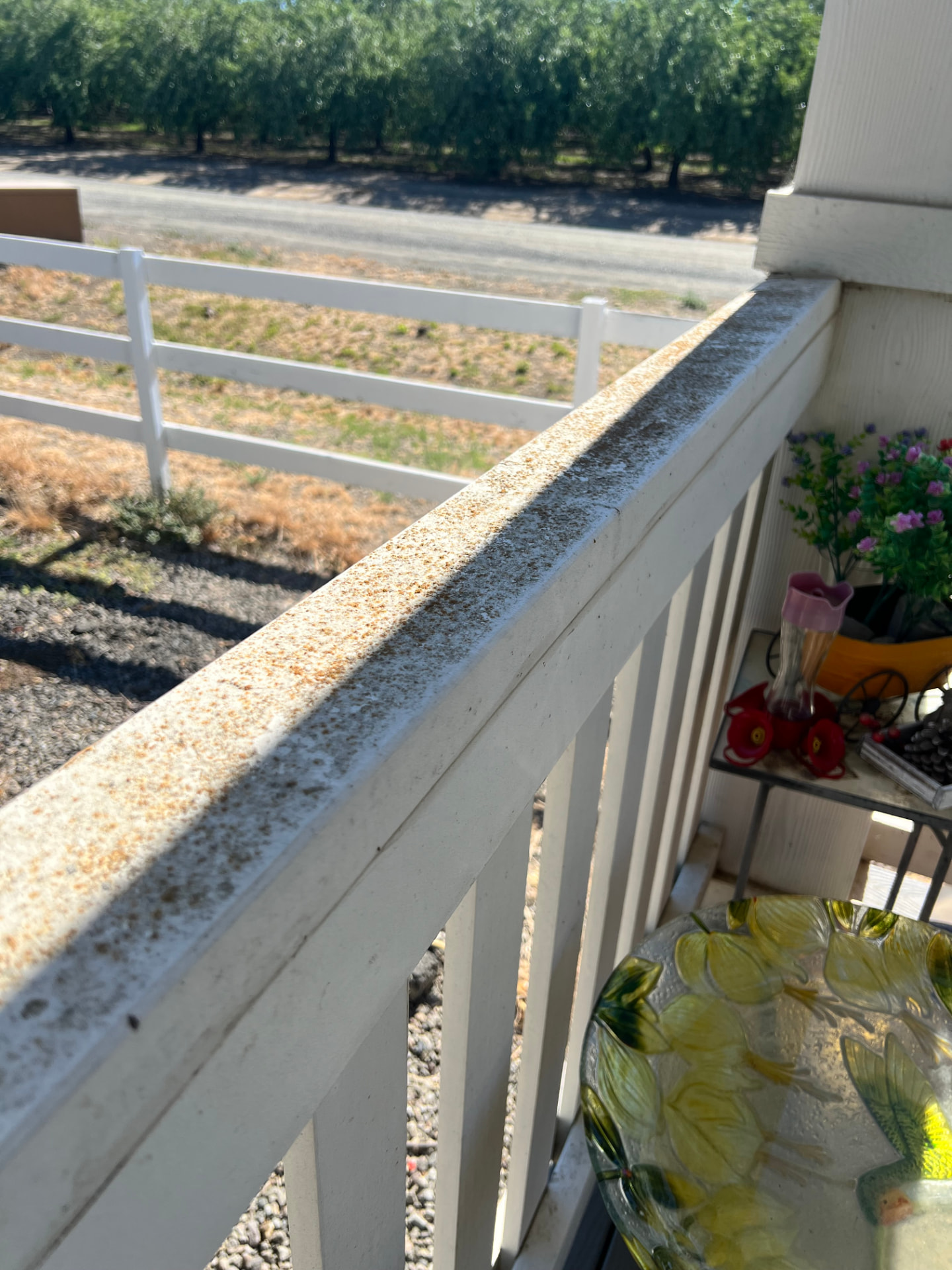 Before: Railing Cleaning