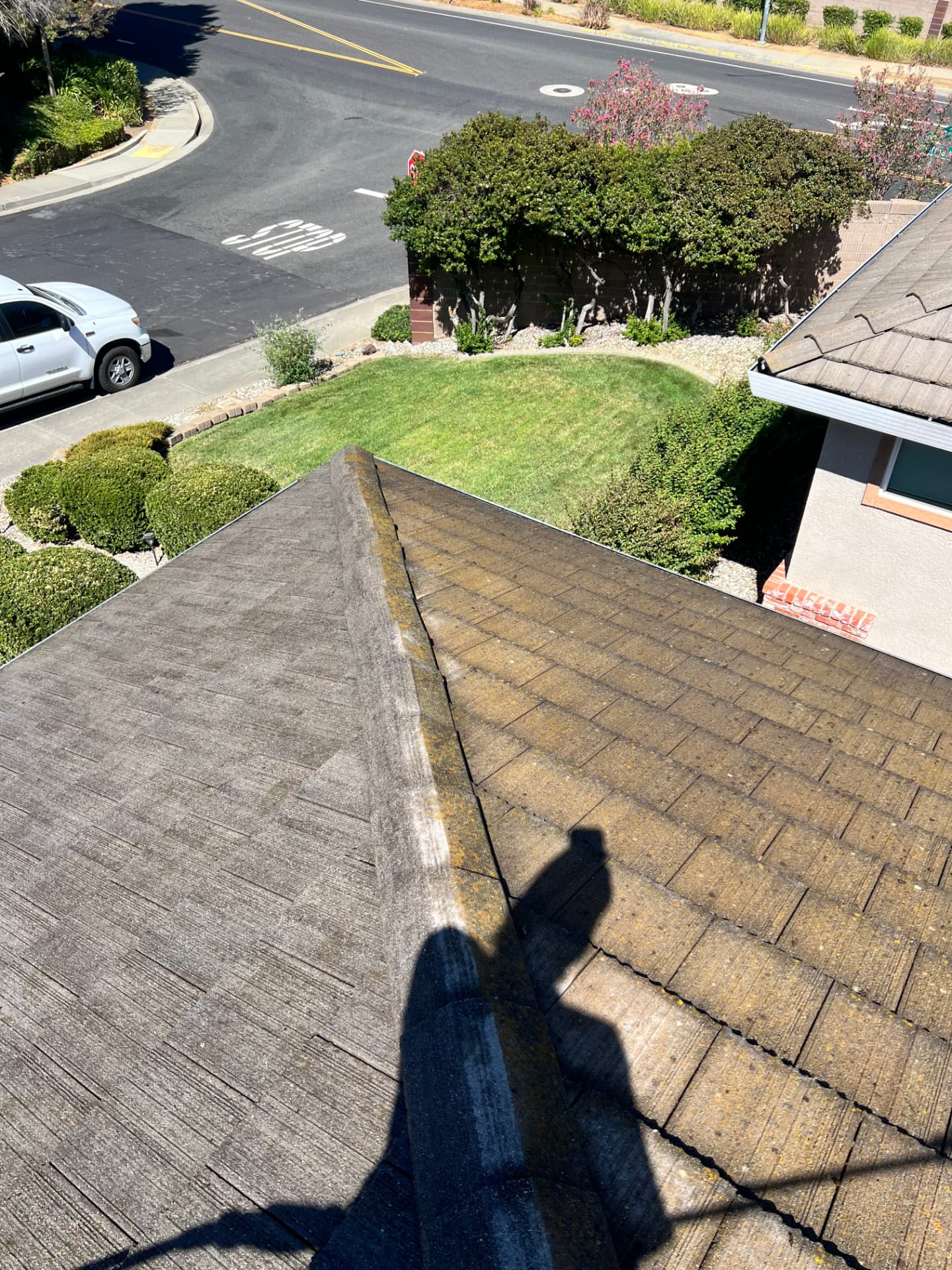 Roof Cleaning